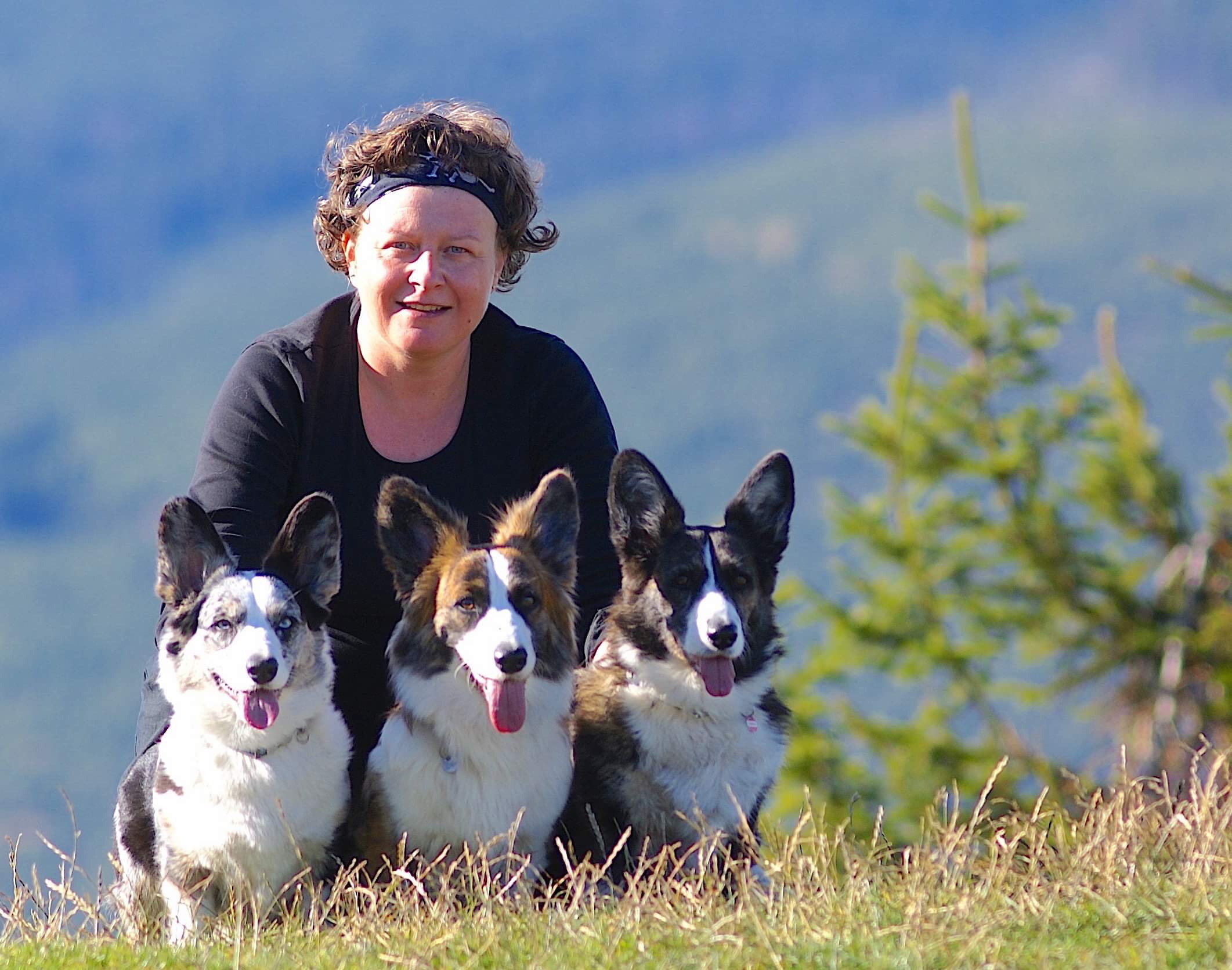 Trzy psy rasy Welsh Corgi Cardigan z opiekunką na tle górskiego krajobrazu, akcentujące przyjemność z wyjazdów i aktywności na świeżym powietrzu.