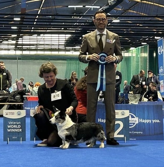 Petsitter z psem na podium po zwycięstwie w konkursie, ilustrujący osiągnięcia w trenowaniu i prezentowaniu psów.